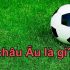 Bài tấn là gì? Bật mí cách chơi bài tấn hiệu quả nhất cho người chơi